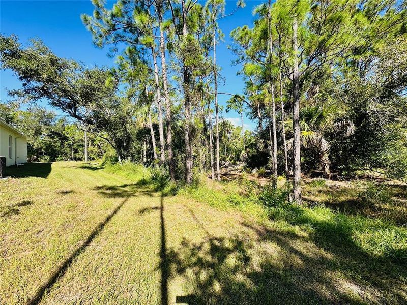 Natural landscape and outdoor views near  in Port Charlotte (Image 32).