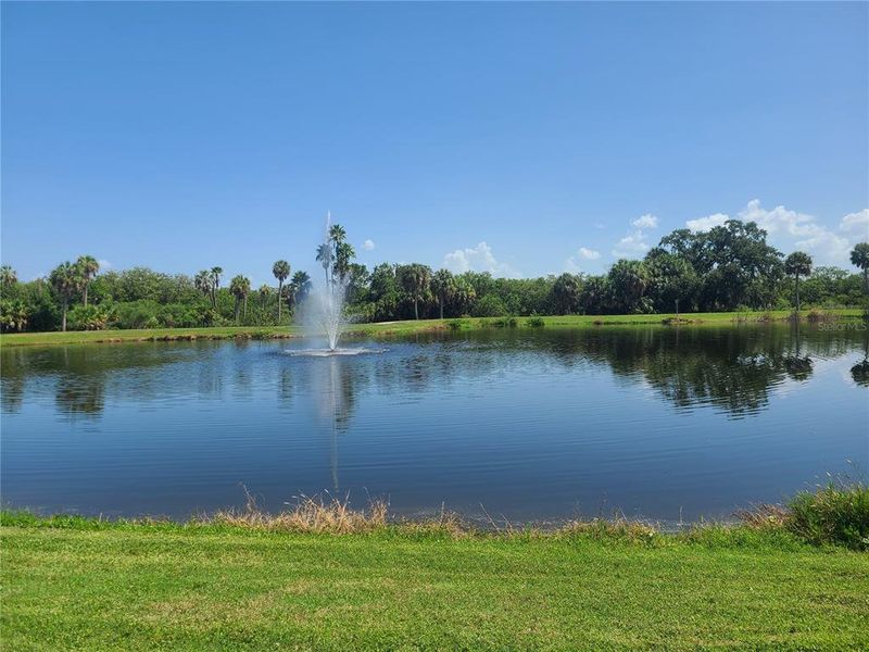 Natural landscape and outdoor views near  in Clearwater (Image 38).