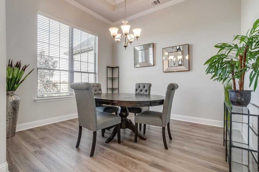 Furnished interior view inside a new home in Heritage, McLendon-Chisholm (Image 6).