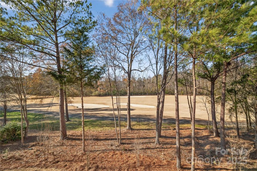Natural landscape and outdoor views near  in Rock Hill (Image 40).