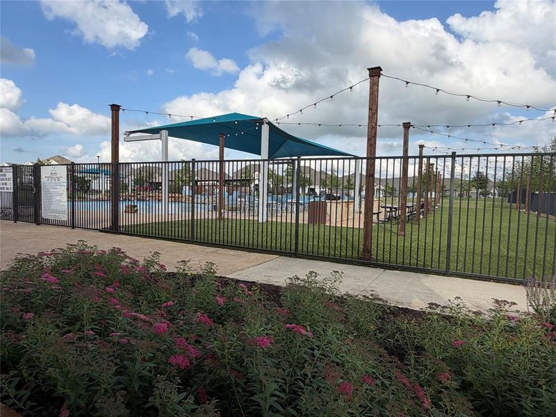 Lovely Landscaping and Bistro Lighting Around Pool
