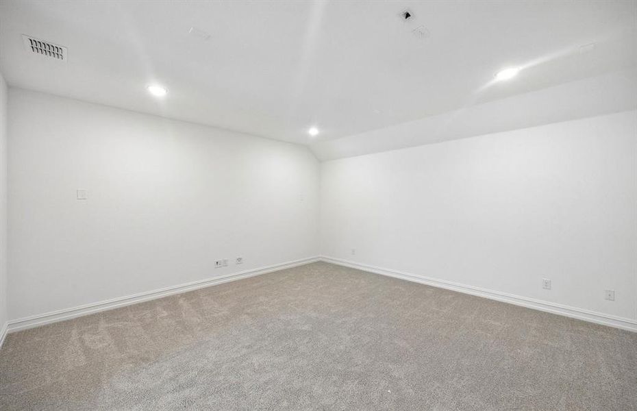 Spacious media room