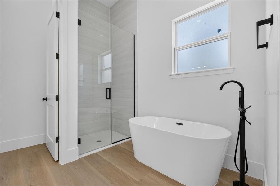 Furnished interior view inside a new home in , Port Charlotte (Image 7).