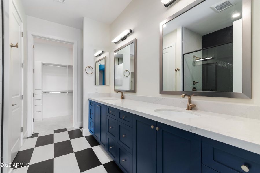 Elegant Primary Bath