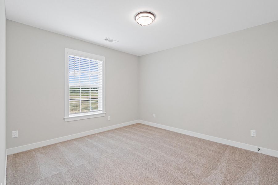 Carpeted room with light gray walls and white trim Carpeted room with light gray walls and white trim