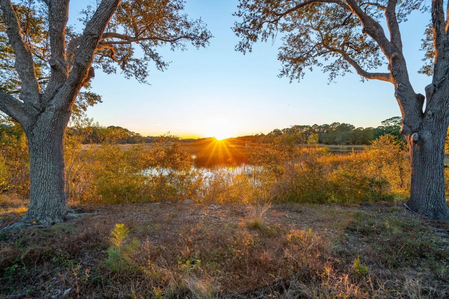 Natural landscape and outdoor views near  in Charleston (Image 22).