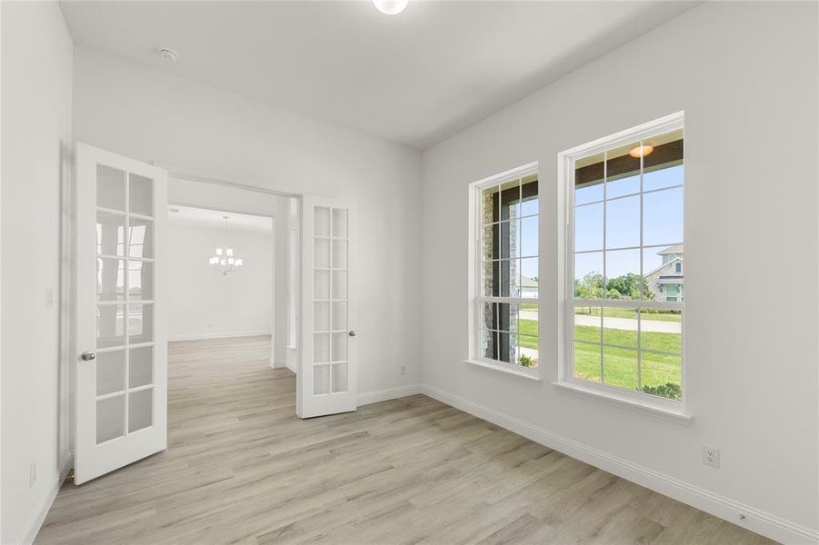 04. 5009 Tamarack - Study 04. 5009 Tamarack - Study