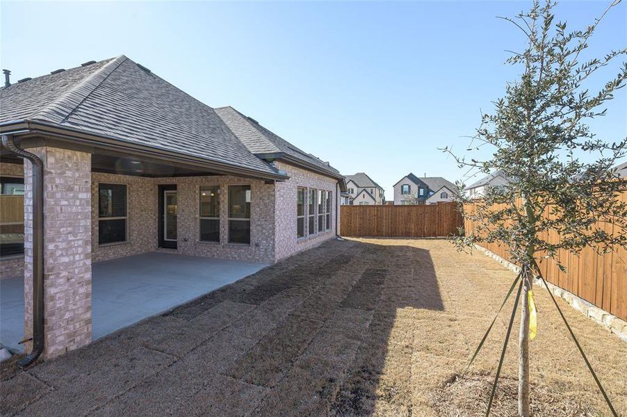 Exterior details and patio area of a home in Creekview Meadows, Pilot Point (Image 23).