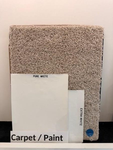 Carpet & Paint