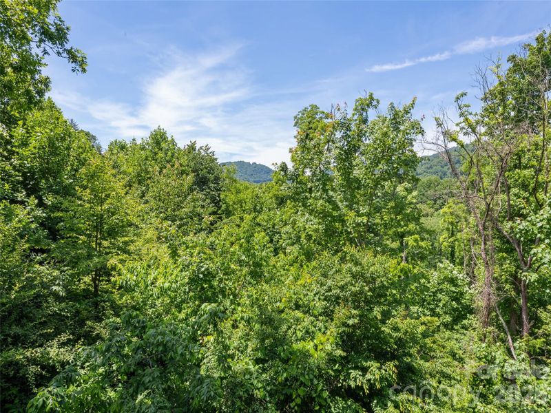 Natural landscape and outdoor views near  in Clyde (Image 32).