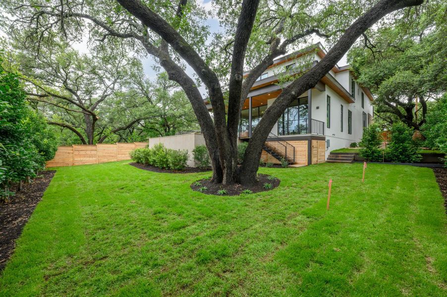 Mature trees and lush lawns frame this captivating modern residence. Mature trees and lush lawns frame this captivating modern residence.