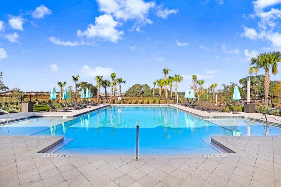 Community amenities in , Zephyrhills (Image 40). Community amenities in , Zephyrhills (Image 40).