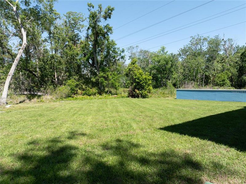 Natural landscape and outdoor views near in Tarpon Springs (Image 27). Natural landscape and outdoor views near in Tarpon Springs (Image 27).