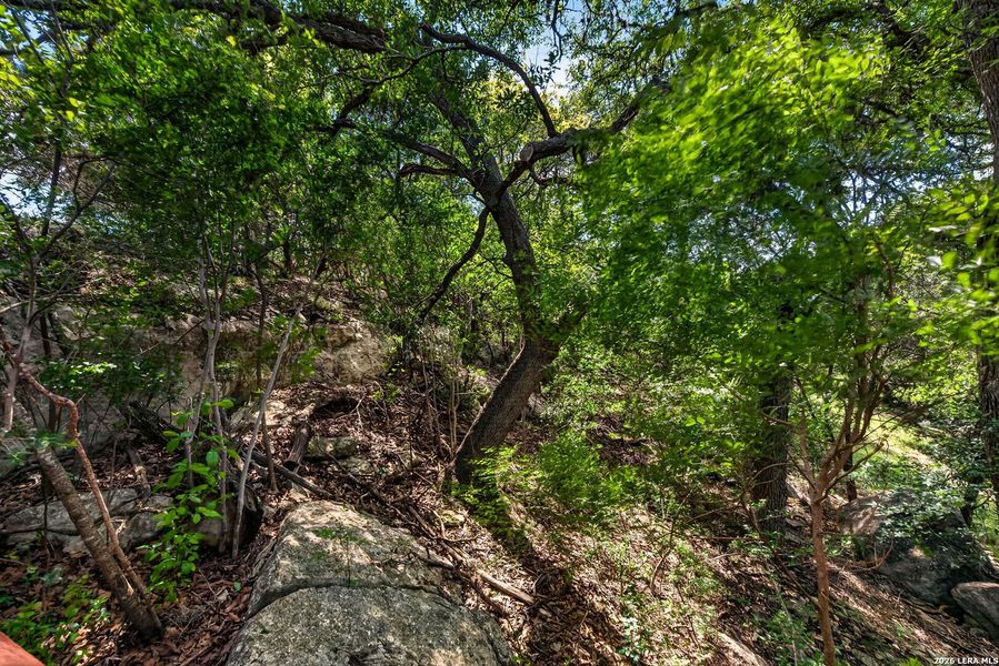 Natural landscape and outdoor views near  in Bandera (Image 16).