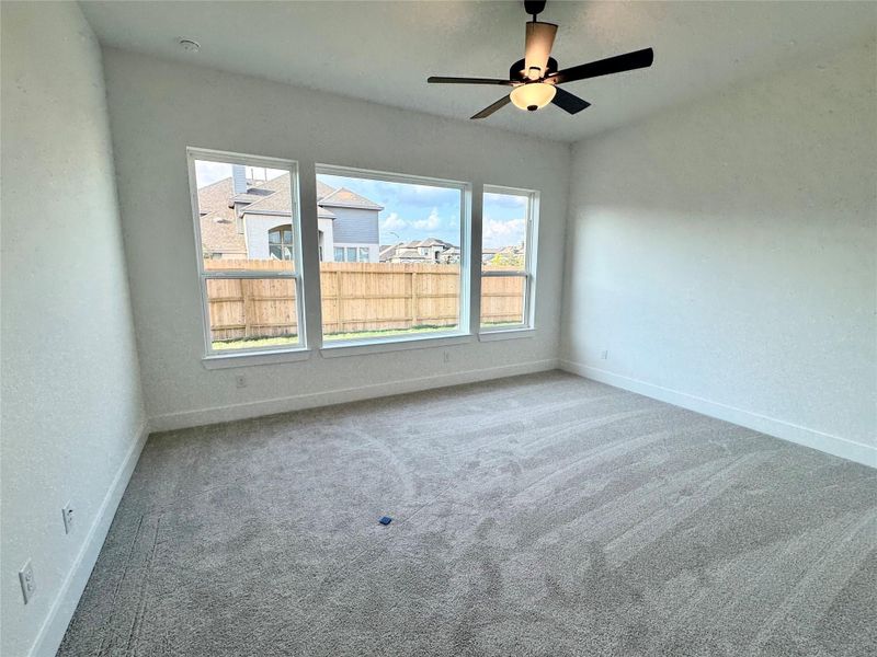 Main bedroom windows.