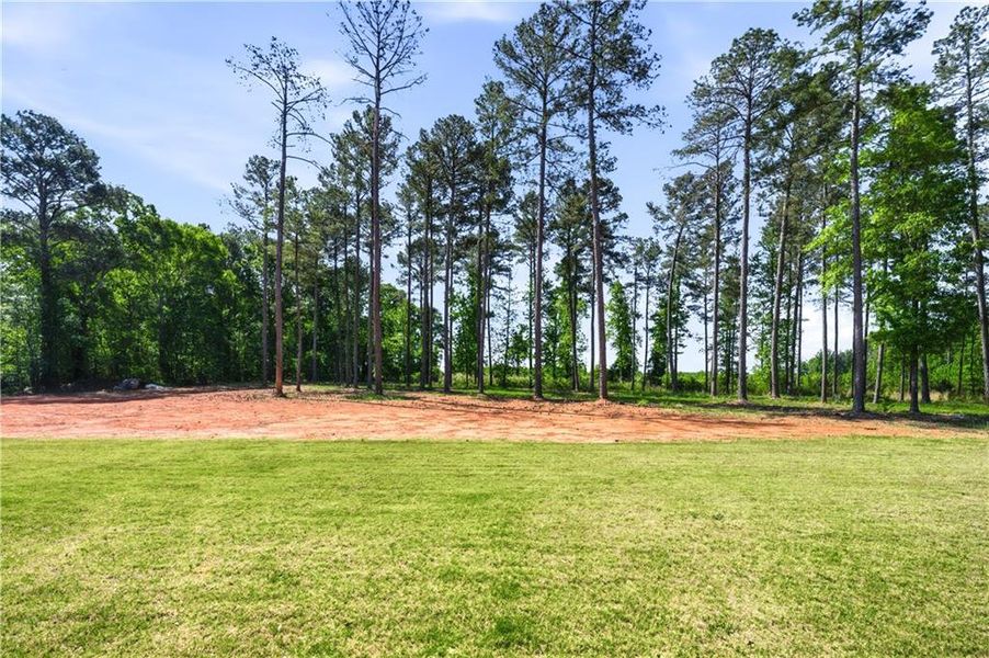 Natural landscape and outdoor views near  in Good Hope (Image 50).