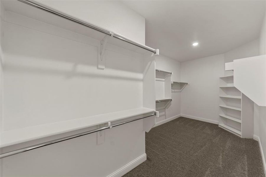 Walk-in closet featuring built-in shelving, chrome hanging rods, recessed ceiling lighting, and carpet flooring