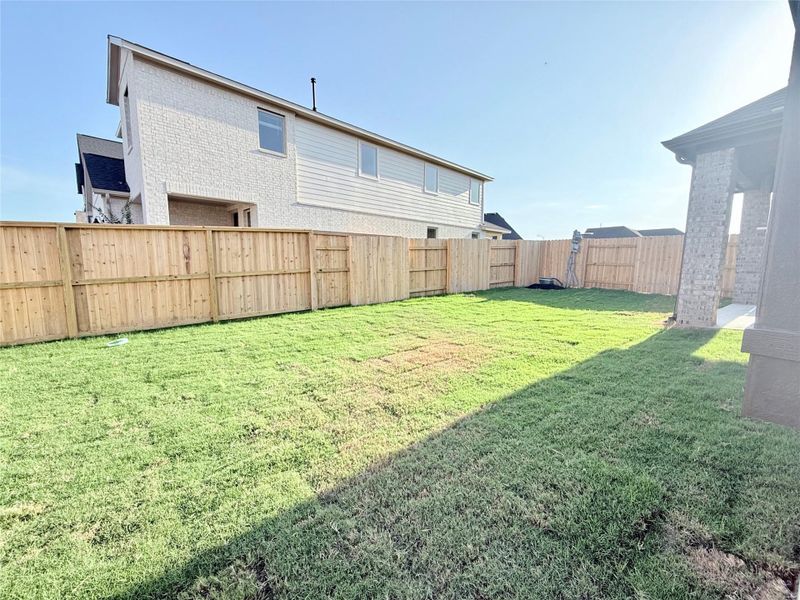 Backyard