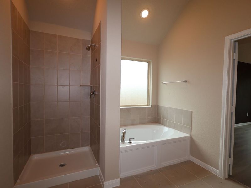 Owner's Bathroom