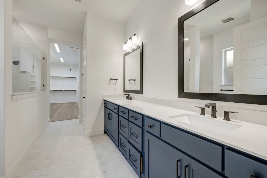 Owner's Bath