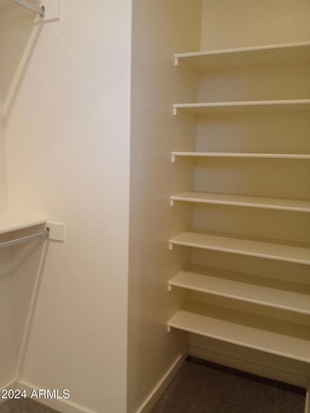 Primary Walk-in Closet with Shelving