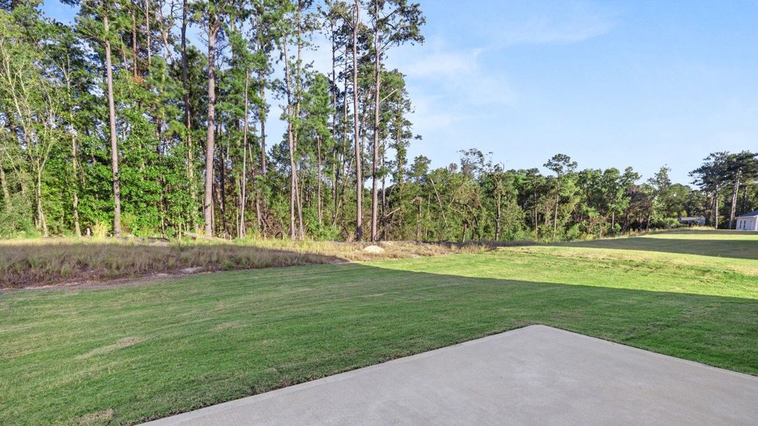 Natural landscape and outdoor views near Bellemeade Landing in Augusta (Image 25).