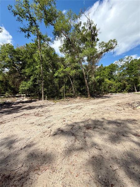 Site preparation for new homesites in , Deland (Image 23). Site preparation for new homesites in , Deland (Image 23).