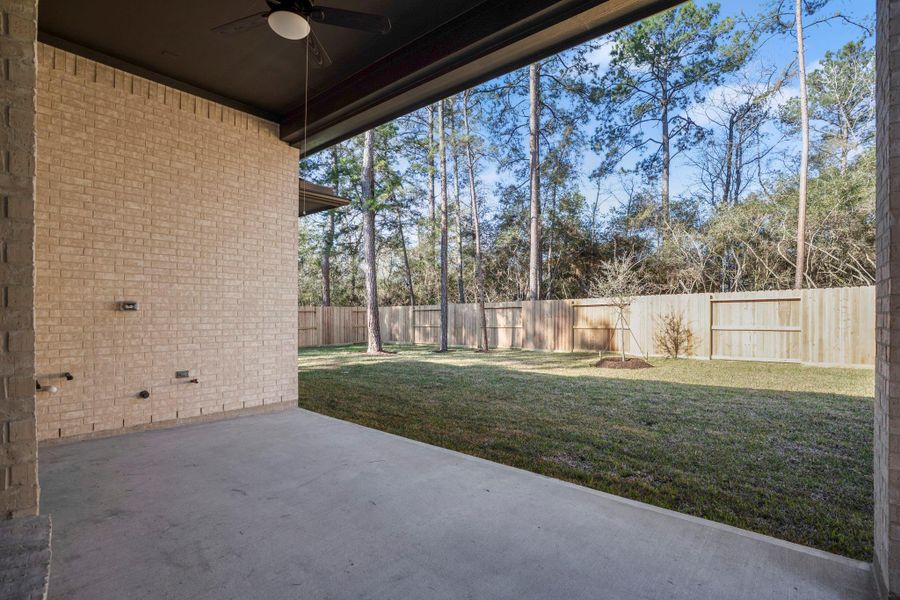 Exterior details and patio area of a home in The Woodlands Hills, Willis (Image 25).