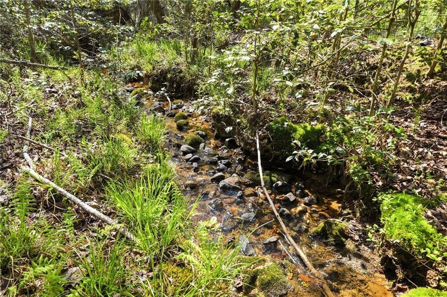 Natural landscape and outdoor views near in Blairsville (Image 16). Natural landscape and outdoor views near in Blairsville (Image 16).