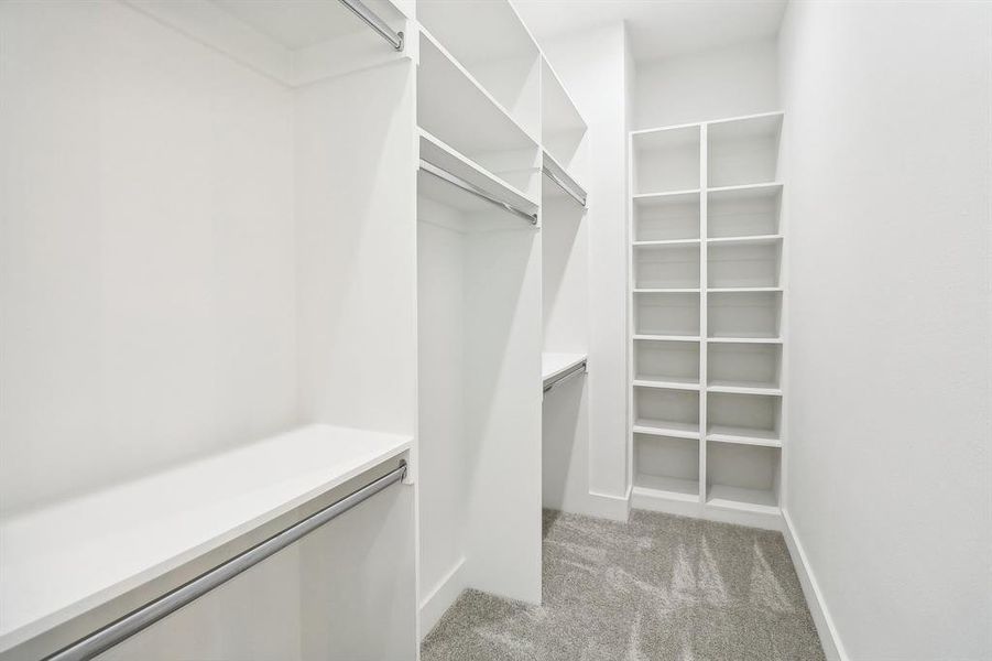 Spacious closet featuring light colored carpet