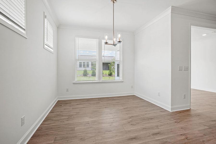 Spacious, unfurnished interior of a new home in Carolina Riverside, Belmont (Image 60).
