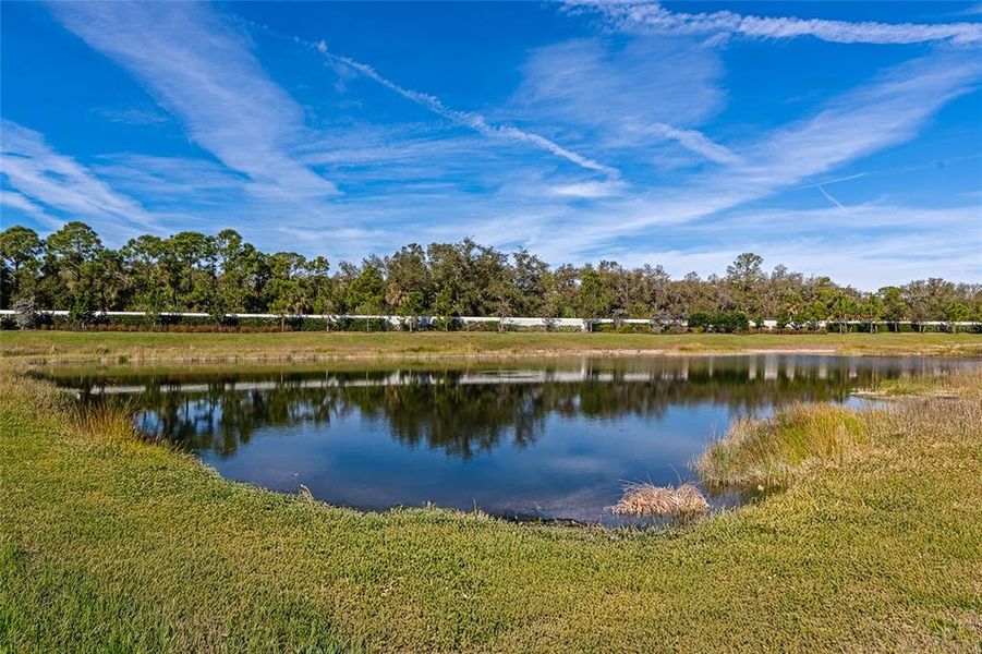Natural landscape and outdoor views near  in Englewood (Image 45).