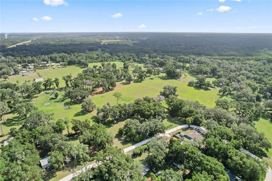Natural landscape and outdoor views near  in Dade City (Image 13).