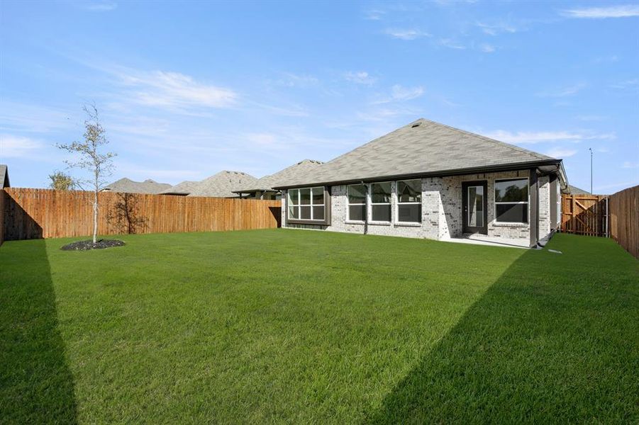 10360 Tapioca- Back-1 10360 Tapioca- Back-1