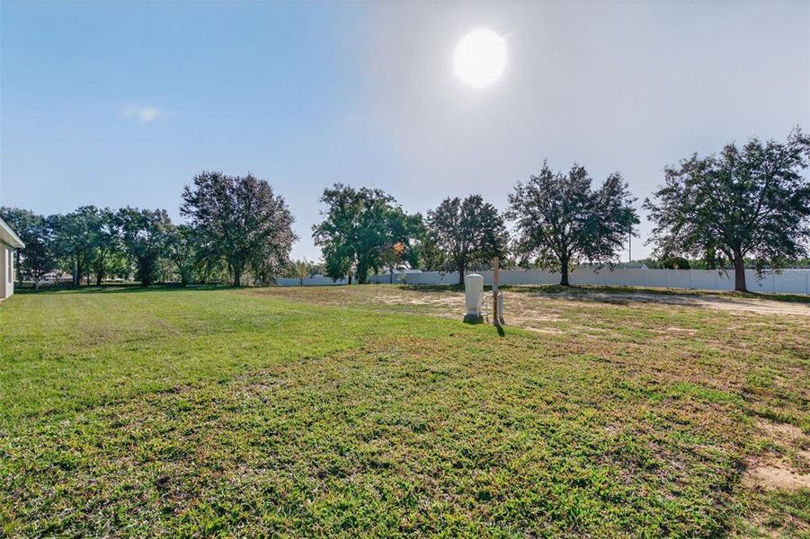 Natural landscape and outdoor views near Hill Country Estates in Dade City (Image 69).
