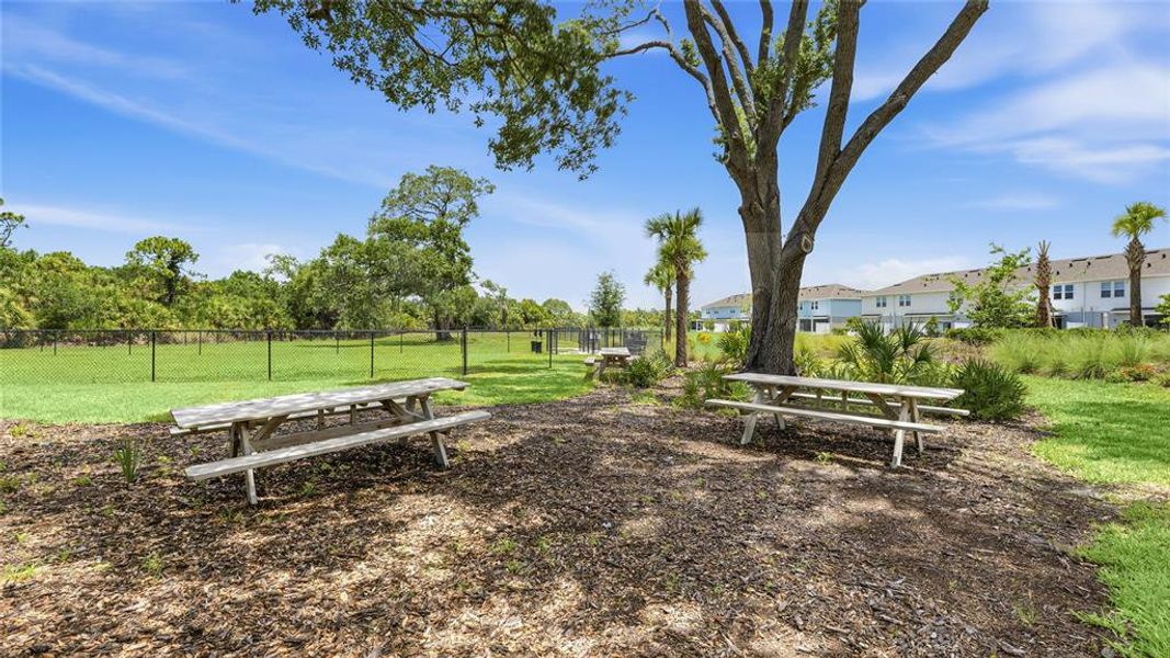 Natural landscape and outdoor views near  in Nokomis (Image 34).