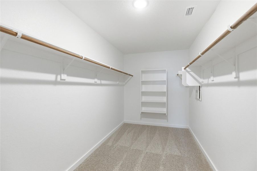 Walk in closet featuring light colored carpet