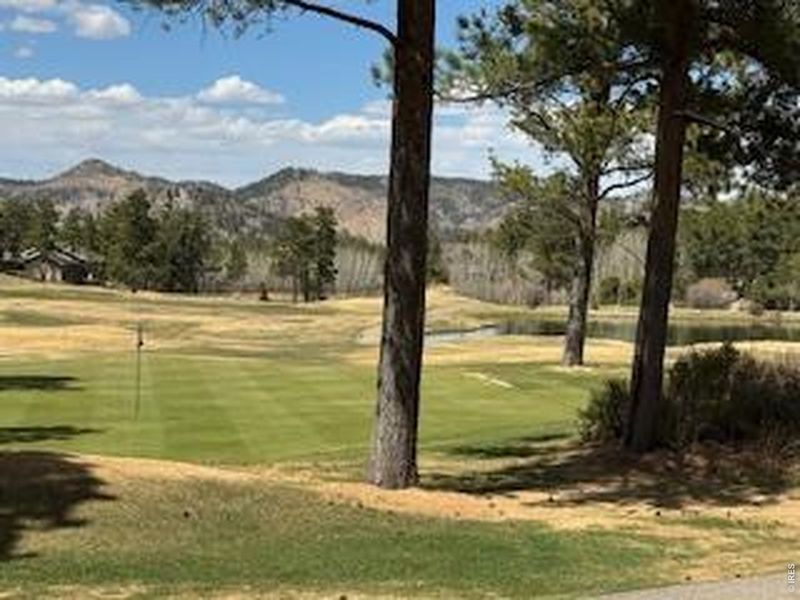 Natural landscape and outdoor views near  in Red Feather Lakes (Image 31).