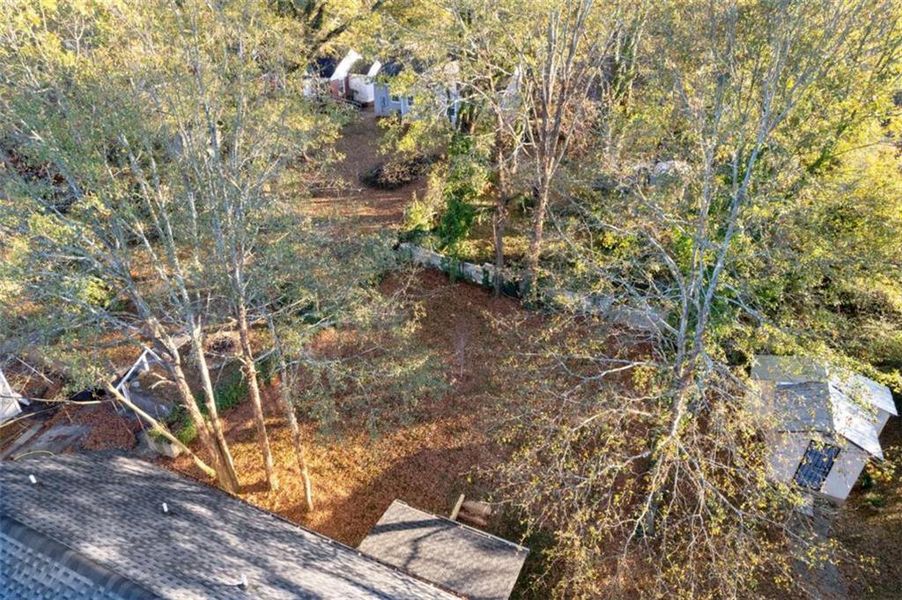 Natural landscape and outdoor views near  in Atlanta (Image 39).