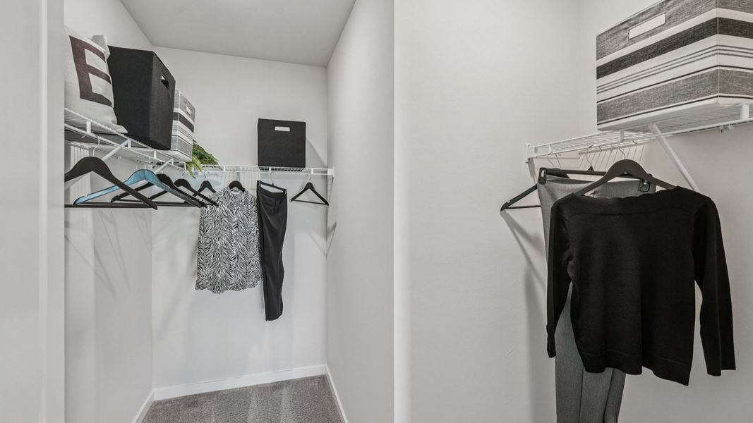 Image 20 of a home in Palmetto Landing at Babcock Ranch Express.