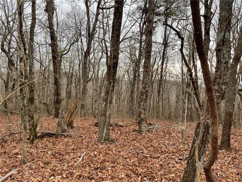 Image 21 of a home in .