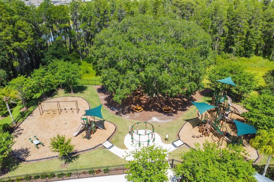 Community amenities in , Tampa (Image 31).