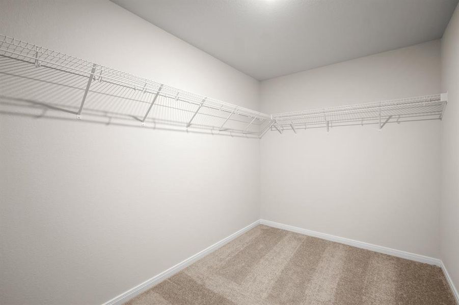 Carpeted walk-in closet.