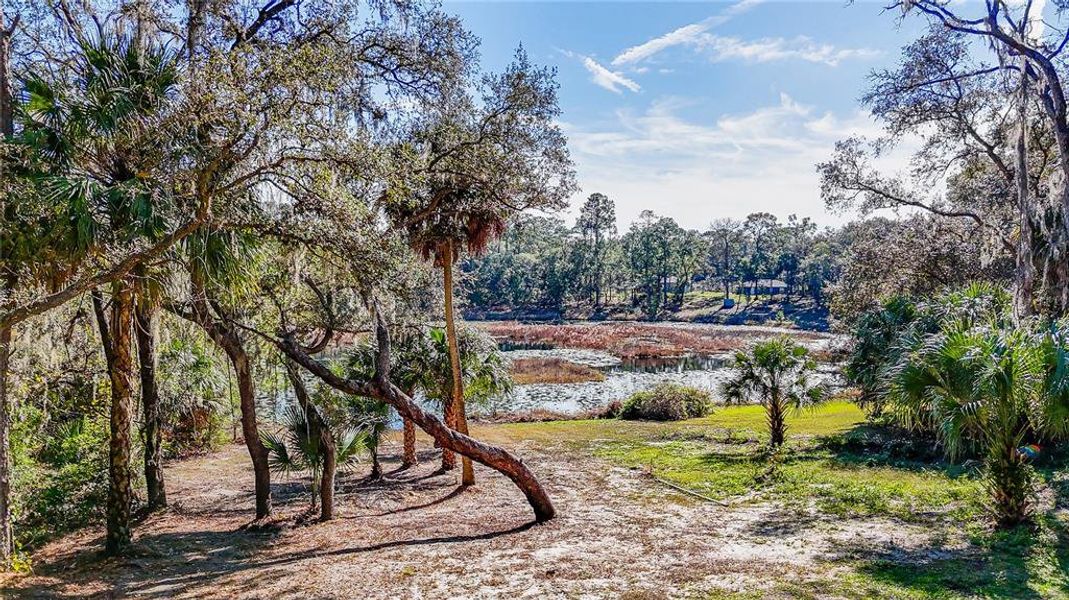 Natural landscape and outdoor views near  in Ocklawaha (Image 36).