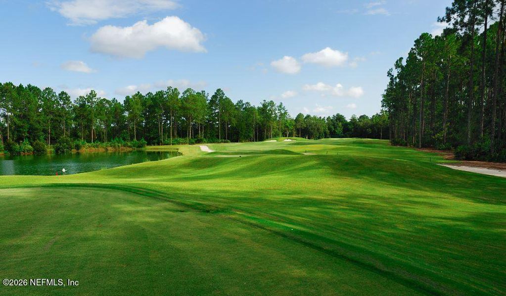 Natural landscape and outdoor views near Lakes at Bella Lago - Signature Series in Green Cove Springs (Image 13).