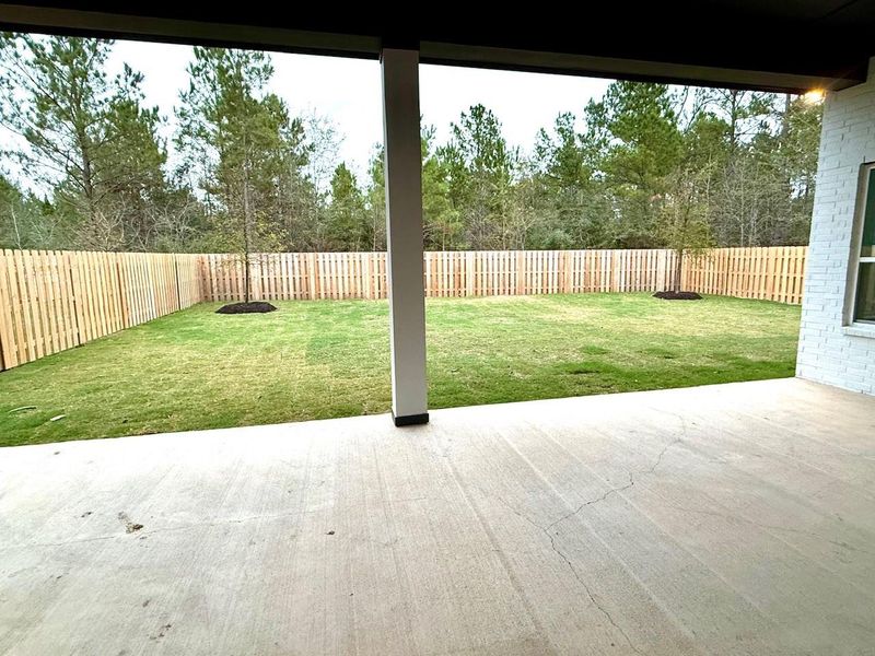 A view of rear yard from patio! A view of rear yard from patio!