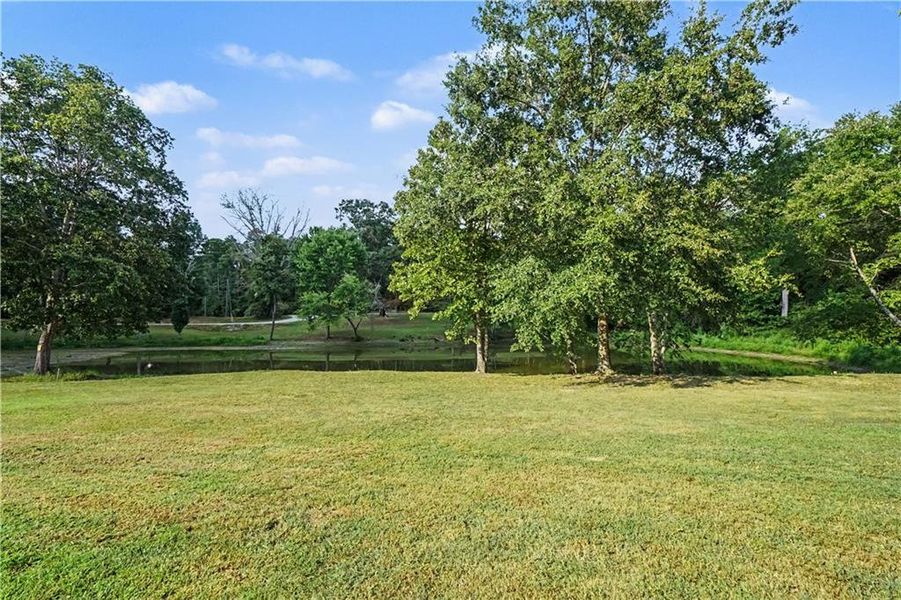 Natural landscape and outdoor views near  in Covington (Image 35).