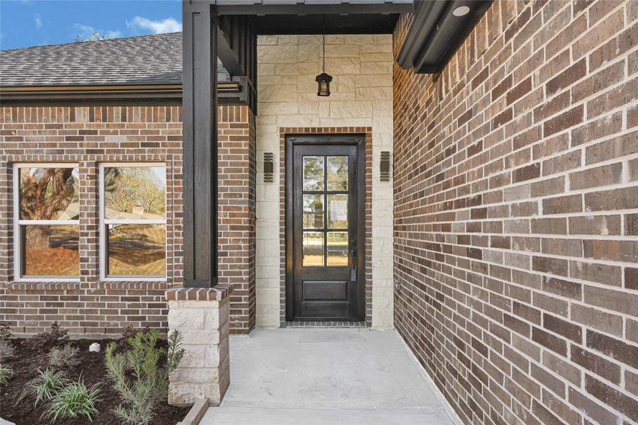 Modern front door Modern front door