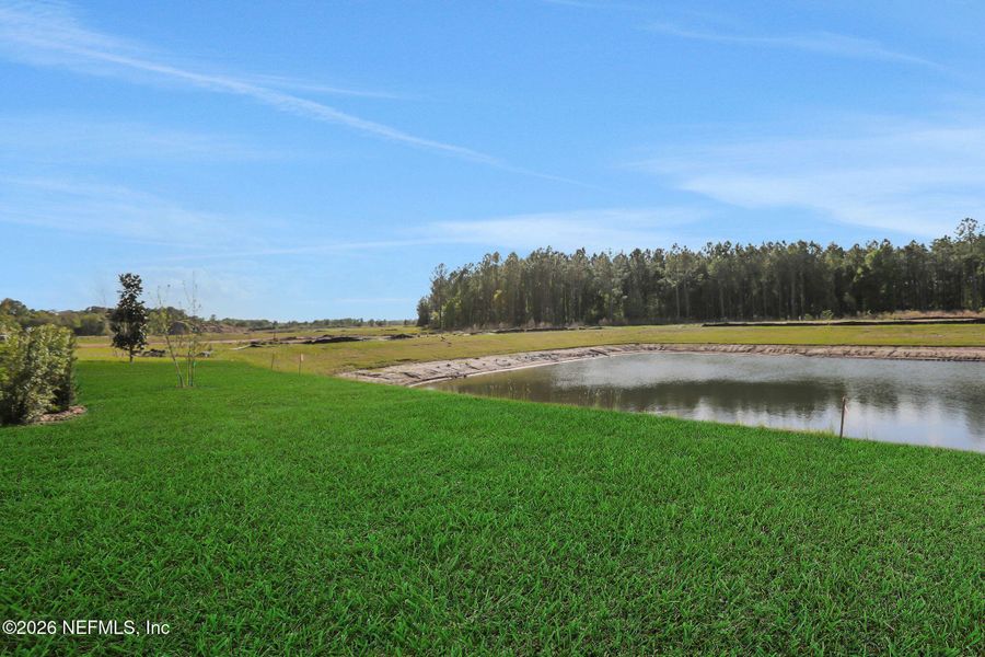 Natural landscape and outdoor views near Amberly in Green Cove Springs (Image 43).