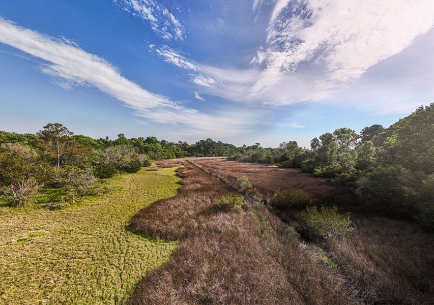 Natural landscape and outdoor views near  in Edisto Island (Image 67).